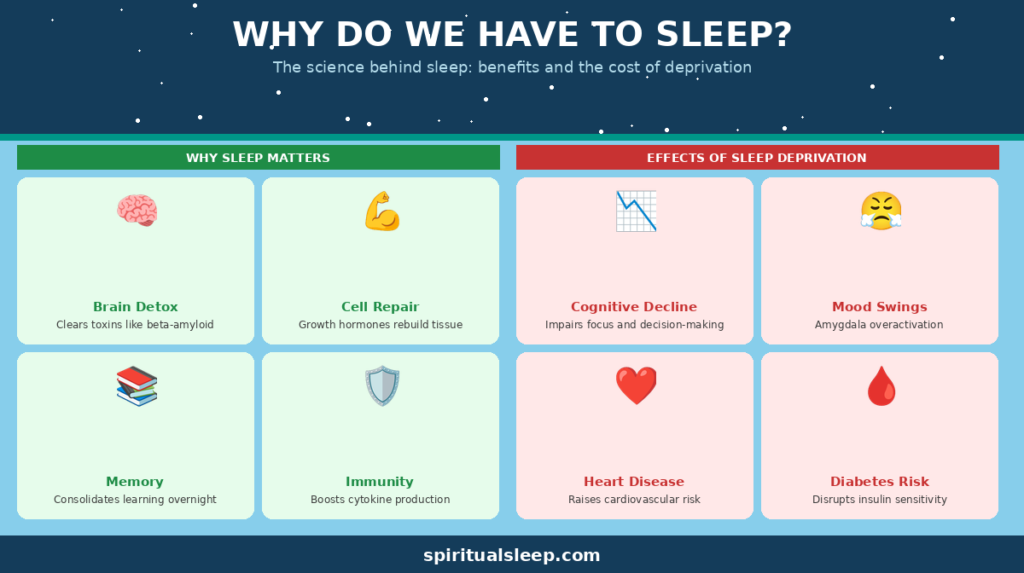 blog featured image why sleep Why Do We Have to Sleep?