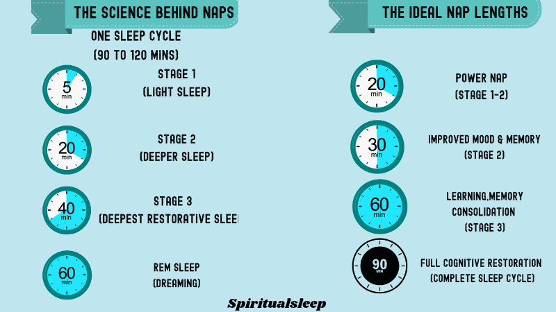 Ideal nap lengths how long is a good nap-the ideal nap length guide
